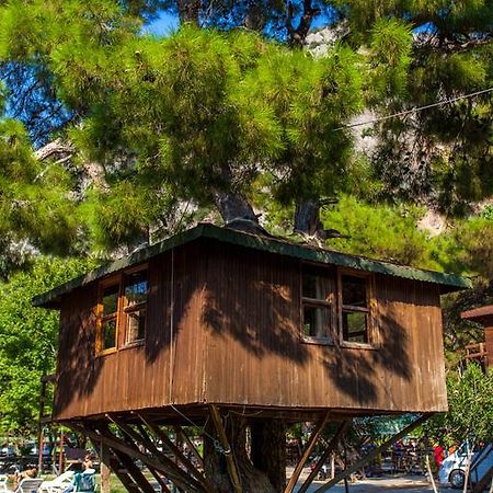 Saklikent Gorge Club酒店 客房 照片