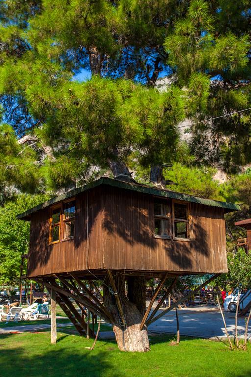 Saklikent Gorge Club酒店 客房 照片