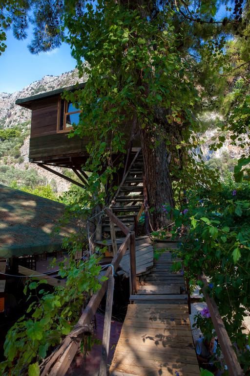 Saklikent Gorge Club酒店 客房 照片